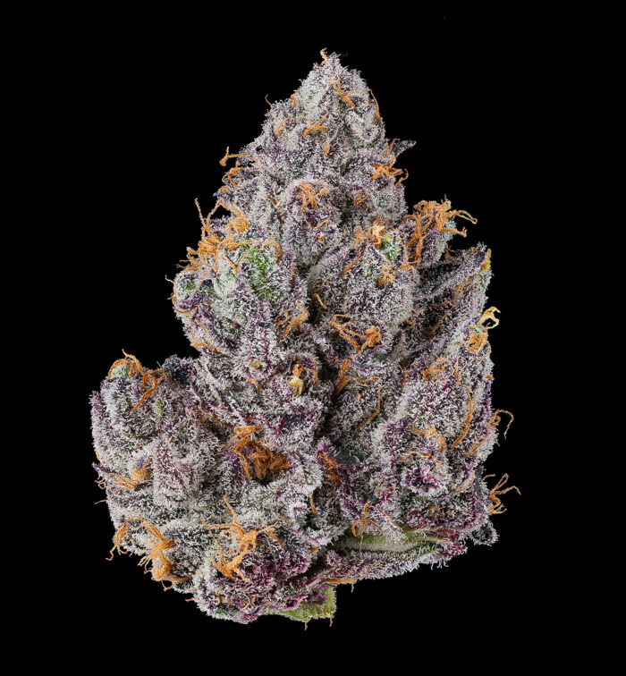 RAINBOW ZOAP - Image 4