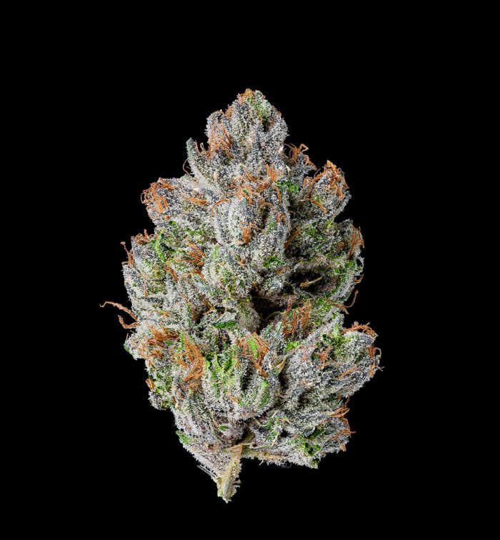 THE EXOTIC OZ (AUTO) - Image 2