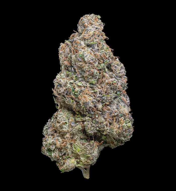 FROSTED CUPCAKE (AUTO) - Image 2